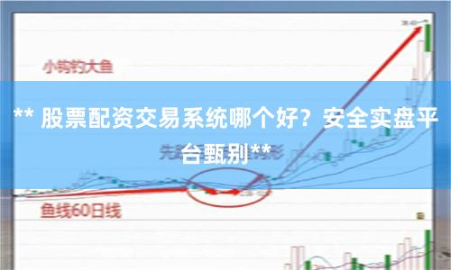 ** 股票配资交易系统哪个好?安全实盘平台甄别**
